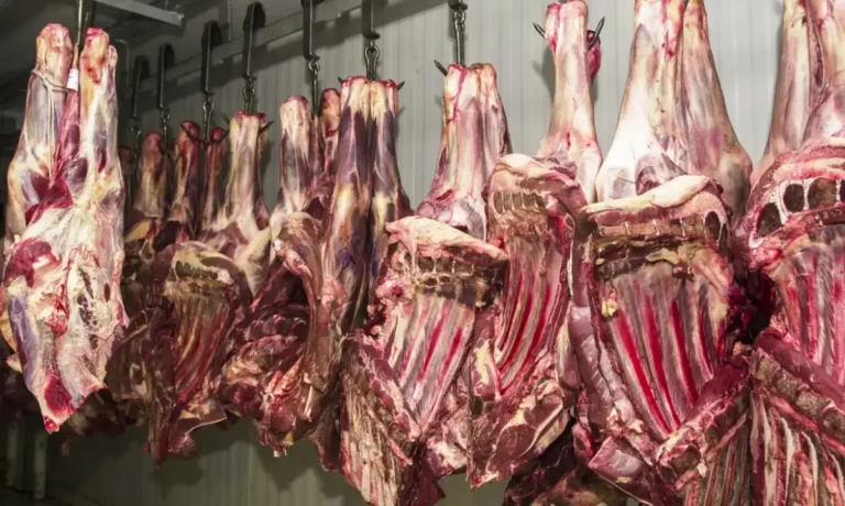 Carne-bovina