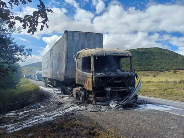 Carreta-que-transportava-cocos-pega-fogo-na-BR-116