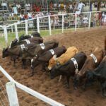 Feiras-Agropecuarias-Foto-Mateus-Pereira-Seagri-BA