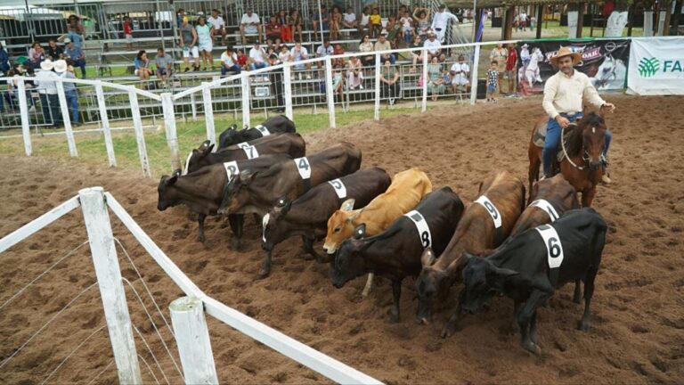 Feiras-Agropecuarias-Foto-Mateus-Pereira-Seagri-BA