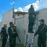 Fiscalizacao-contra-maus-tratos-a-animias-em-Feira-1
