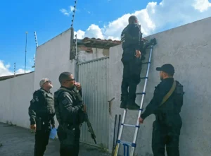 Fiscalizacao-contra-maus-tratos-a-animias-em-Feira-1