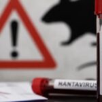Hantavirus-Foto-Divulgacao