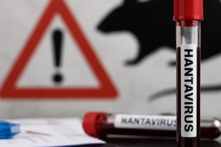 Hantavirus-Foto-Divulgacao