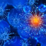 Ilustracao-Bacteria-Creditos-Magnetic
