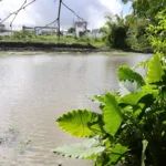 Lagoa-do-Alto-do-Papagaio-1