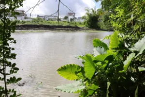 Lagoa-do-Alto-do-Papagaio-1