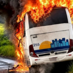 Onibus-de-empresa-de-Alagoinhas-e-destruido-por-incendio-na-BR-110-foto-reproducao-Mais-Regiao-