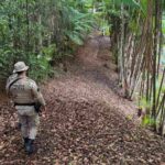 Segunda-fase-da-Operacao-Midas-e-deflagrada-em-Ilheus-e-Itacare-com-prisoes-e-apreensoes