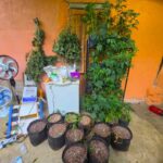 apreensao-itacare-drogas