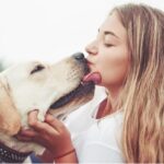beijo-pets-animais-
