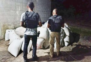 carga-de-cafe-policia-civil