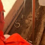 corpo-de-Bombeiros-foto-divulgacao-
