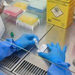 hantavirus-minas-gerais