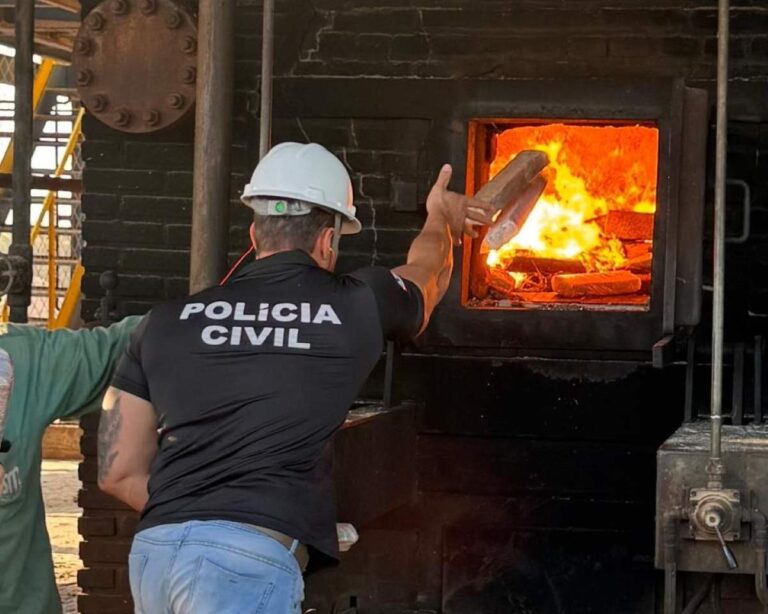 incineracao-de-drogas