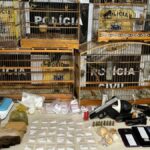 operacao-apreenao-santo-estevao-foto-divulgacao-