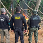 operacao-da-policia-federal-contra-garimpo-ilegal-foto-divulgacao-