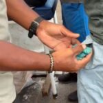 prisao-por-trafico-de-drogas-foto-divulgacao-