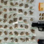 Apreensao-de-maconha