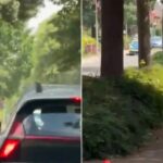 Ataque-a-tiros-na-Alemanha-deixa-cinco-mortos-e-varios-feridos