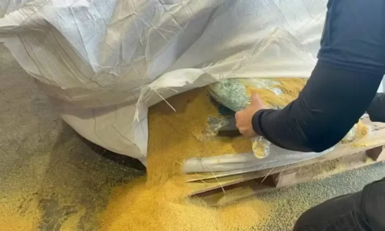 Cocaina-localizada-em-Porto-de-Salvador-