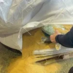 Cocaina-localizada-em-Porto-de-Salvador-1-1