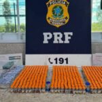 PRF-apreende-drogas-e-mais-de-700-ampolas-foto-divulgacao-