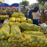 Venda-de-laranja-no-centro-periodo-junino