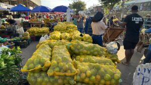 Venda-de-laranja-no-centro-periodo-junino