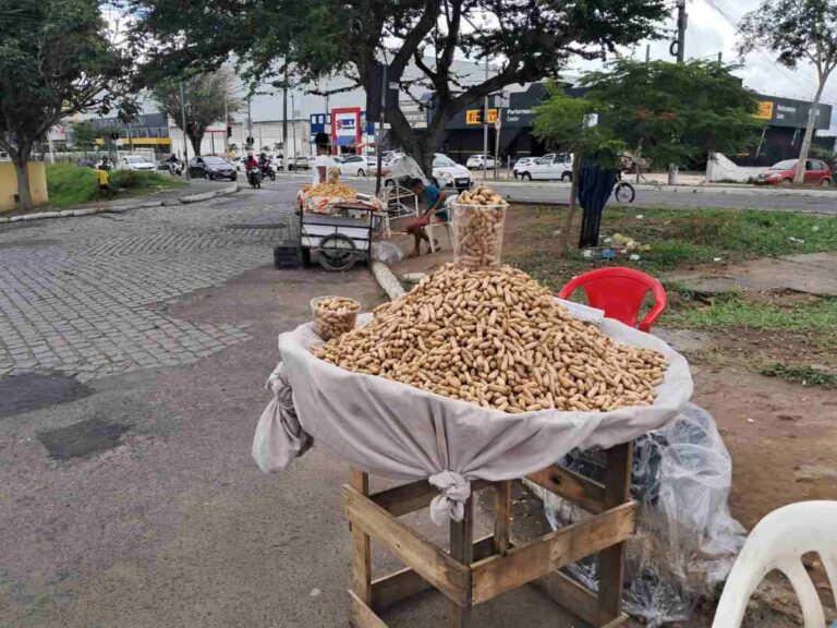 Vendas-de-amendoim-em-Feira-de-Santana_-foto-Ney-Silva-AC