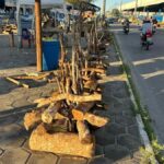 Vendas-de-fogueiras-no-canteiro-da-Joao-Durval