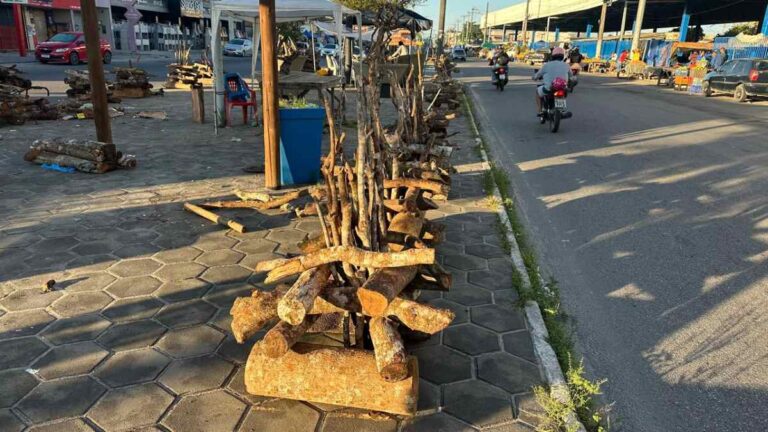 Vendas-de-fogueiras-no-canteiro-da-Joao-Durval