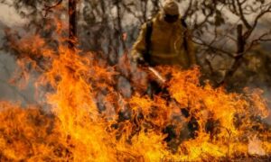 b5CWg5kg-incendios