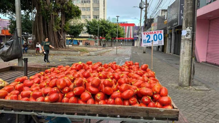 banca-de-tomate-na-feira-da-Bernardino-Bahia