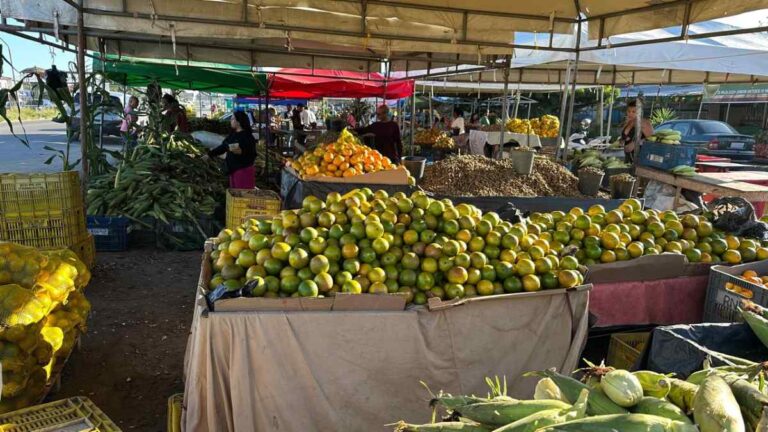 laranja-e-outros-produtos-na-cidade-nova