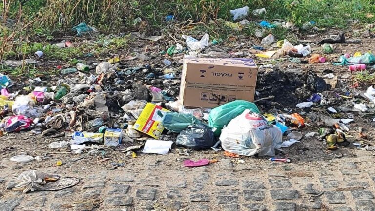 lixo-bairro-Asa-Branca-foto-ed-santos-acorda-cidade-01