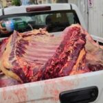 800-kg-de-carne-clandestina-sao-apreendidos-na-feira-livre-de-Ibicarai-durante-operacao-Foto-Divulgacao