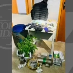 Apreensao-de-drogas-