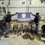Armas-que-a-policia-informou-que-apreendeu-com-os-criminosos-apos-tiroteio-Foto-Divulgacao-PM-290726