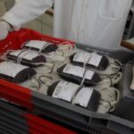 Bolsas-de-sangue-Raul-Golinelli-GOVBA