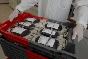 Bolsas-de-sangue-Raul-Golinelli-GOVBA