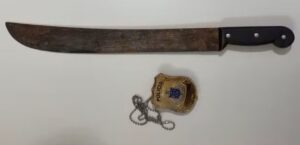 Criancas-ficam-feridas-durante-ataque-com-facao-contra-a-mae-Foto-Policia-Civil-220726