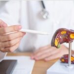 Figado-hepatites-foto-ag-Einstein