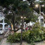 Meteorologistas-dizem-que-nao-e-possivel-associar-ventanias-ao-El-Nino-Foto-Tania-Rego-Agencia-Brasil-300726