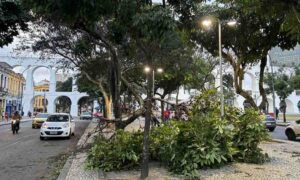 Meteorologistas-dizem-que-nao-e-possivel-associar-ventanias-ao-El-Nino-Foto-Tania-Rego-Agencia-Brasil-300726