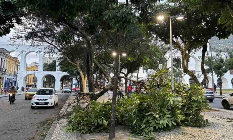 Meteorologistas-dizem-que-nao-e-possivel-associar-ventanias-ao-El-Nino-Foto-Tania-Rego-Agencia-Brasil-300726
