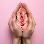 Mulher-segurando-rosa-sistema-reprodutivo-Foto-Reproducao-Freepik