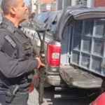 Operacao-Mani-