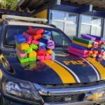PRF-de-Feira-de-Santana-apreende-quase-48-kg-de-maconha-em-onibus-na-BR-116-foto-divulgacao-