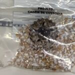 Policia-Civil-desarticula-ponto-de-armazenamento-de-drogas-foto-divulgacao-